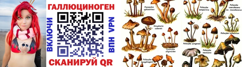 Галлюциногенные грибы Cubensis  сайты даркнета формула  Нерехта  гидра зеркало 